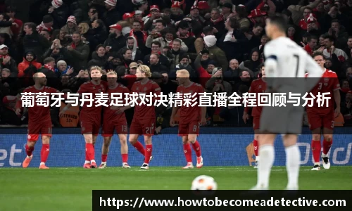 葡萄牙与丹麦足球对决精彩直播全程回顾与分析